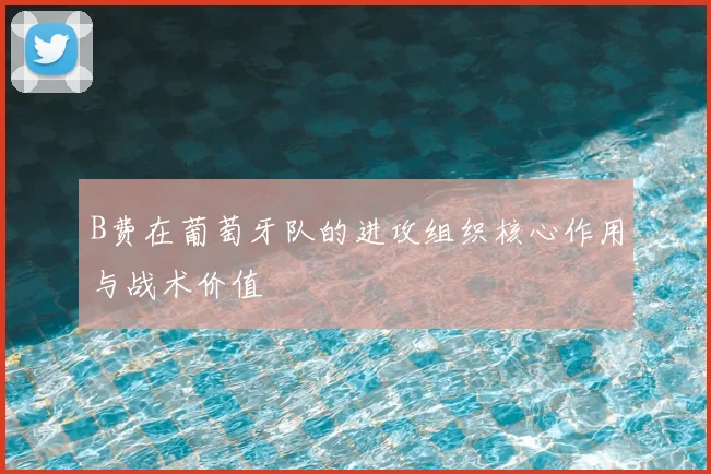 B费在葡萄牙队的进攻组织核心作用与战术价值